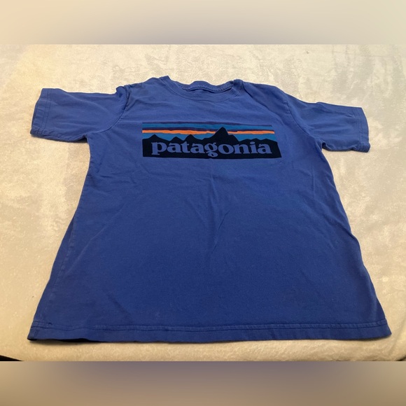 Patagonia Blue Crew Neck Tee - Picture 1 of 3